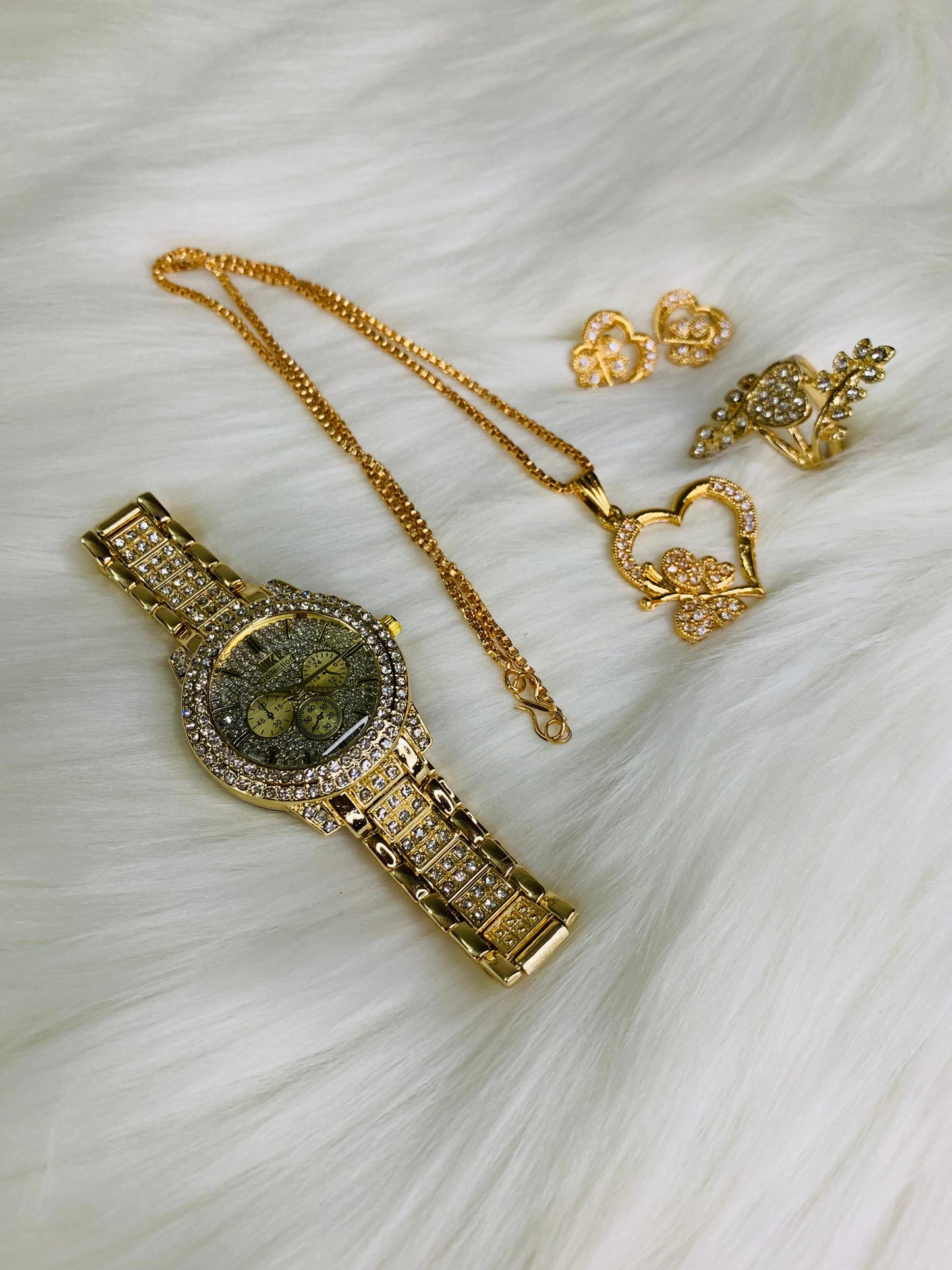 Ladies Watch & Jewelry